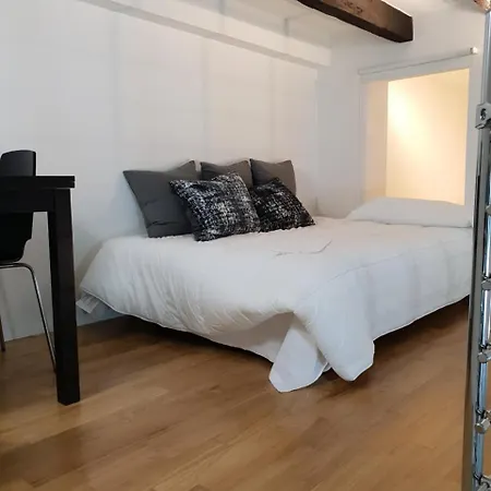 Apartman Loft Irnerio