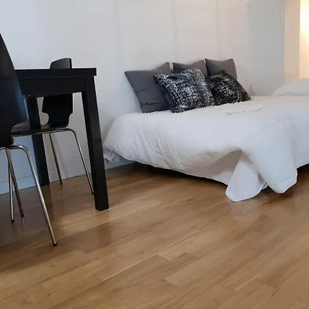 Loft Irnerio Apartament